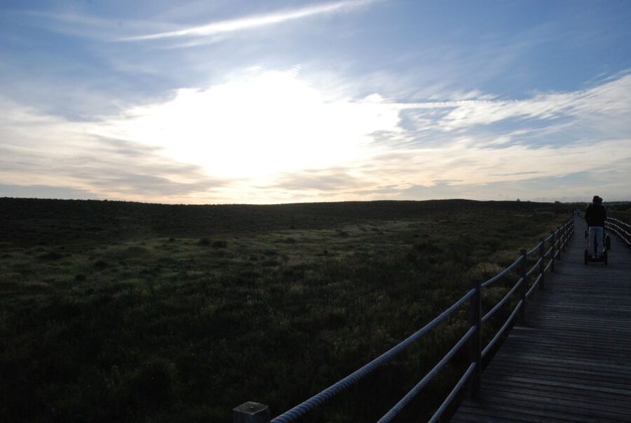 Albufeira: Salgados Nature Reserve Segway Tour - The 1.5-Hour Flow: Safety Gear, Guided Route, and Learning Fast