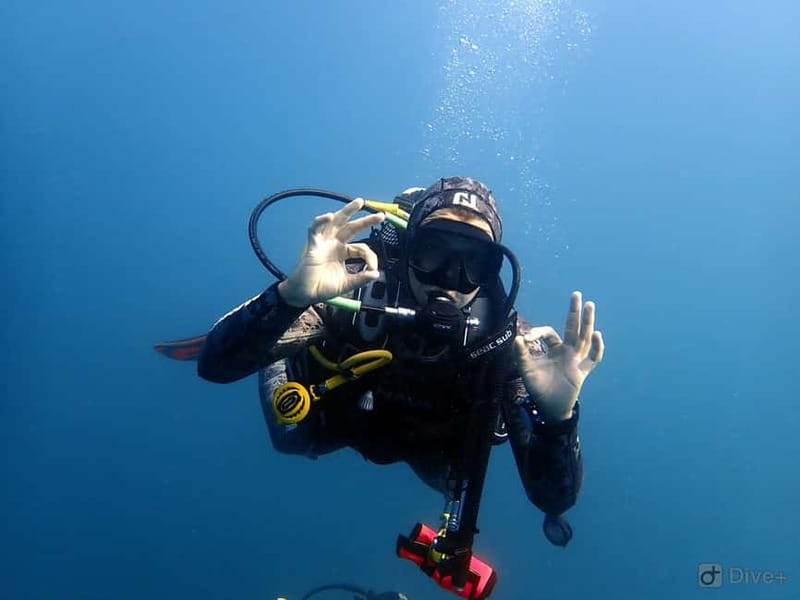 Albufeira: Scuba Diving Experience for Beginners - What to bring so your day goes smoothly