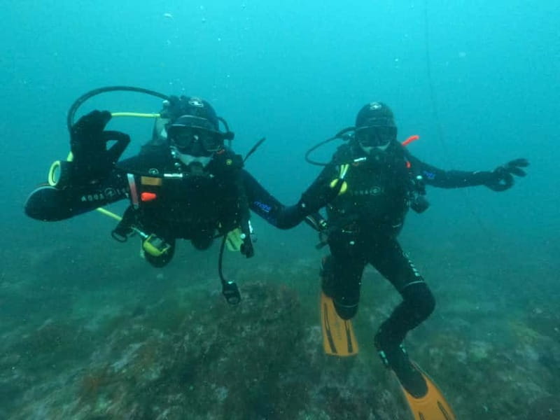 Albufeira: Scuba Diving Experience for Beginners - Who should book this, and who should skip it