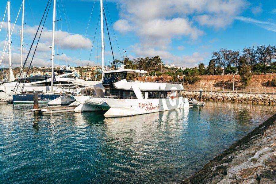 Albufeira: Sightseeing Cruise with Beach BBQ and Open Bar - Who this cruise suits best in the real world