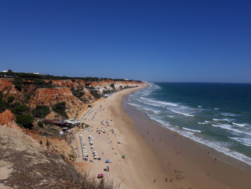 Albufeira: Tuk-tuk Sightseeing Tour - Marina and fishing port: see the working Algarve