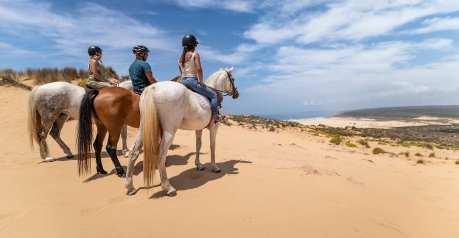 Algarve: 1-Hour Carrapateira Horseback Riding Tour - Riding the coast: beach crossings, dunes, and hilltop viewpoints