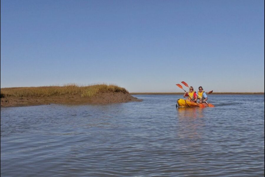 Algarve: 2-Hour Ria Formosa Kayak Tour from Faro - Stop 1: Lands–Eco Boat Tours at Faro Marina (and getting your bearings)