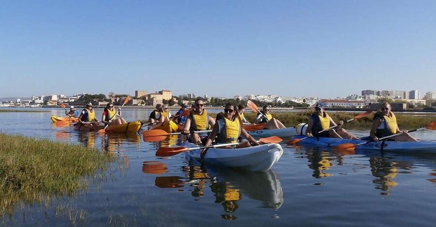 Algarve: 2-Hour Ria Formosa Kayak Tour from Faro - What wildlife spotting is like (and how to not miss it)