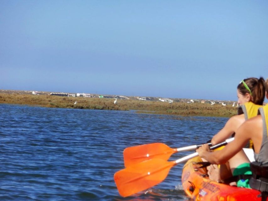 Algarve: 2-Hour Ria Formosa Kayak Tour from Faro - Kayaks, comfort, and what you’ll actually need to bring