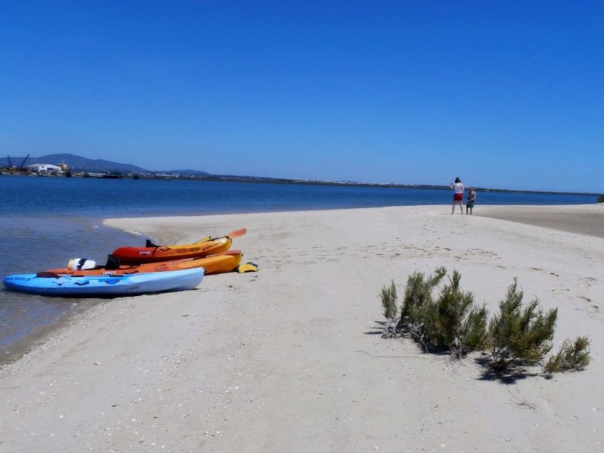 Algarve: 2-Hour Ria Formosa Kayak Tour from Faro - Faro old town views on the way back: why that matters