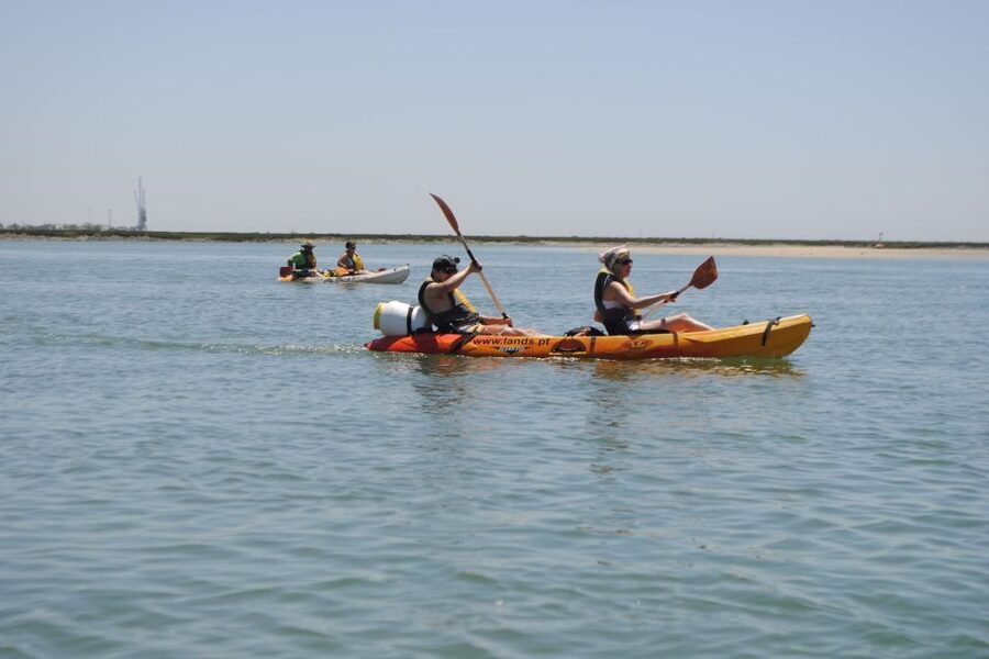 Algarve: 2-Hour Ria Formosa Kayak Tour from Faro - Who should book this kayak tour (and who should skip it)