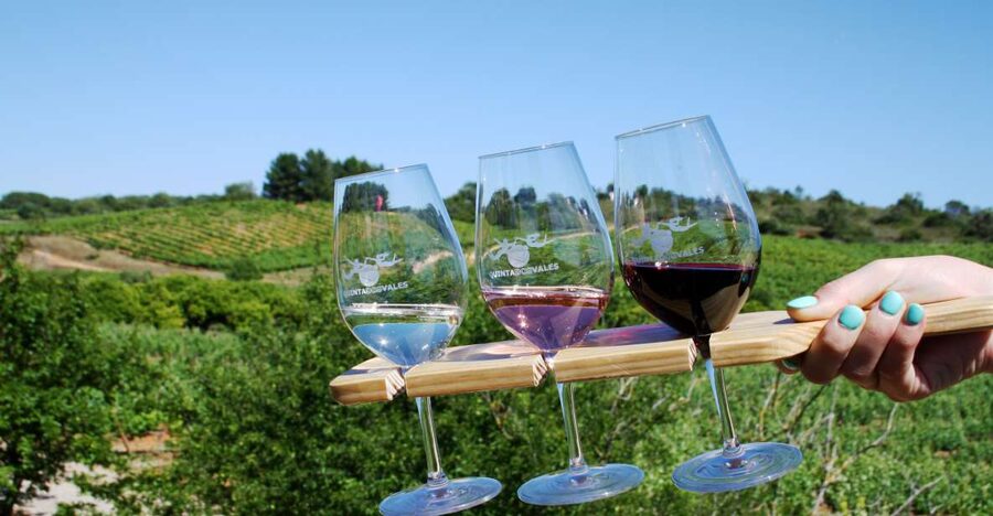 Algarve: 3 Types of Wine Tastings with Vineyard Views - Algarve Wine Tasting at Quinta dos Vales: What the Day Feels Like
