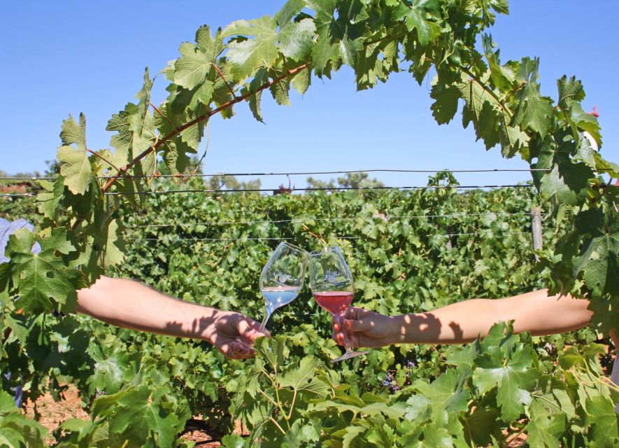 Algarve: 3 Types of Wine Tastings with Vineyard Views - Terrace Views During the Tasting: Why It Feels Relaxed