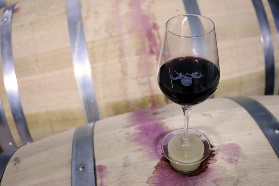 Algarve: 3 Types of Wine Tastings with Vineyard Views - Exploring the Sculpture Gardens With Your Wine (and Your Curiosity)