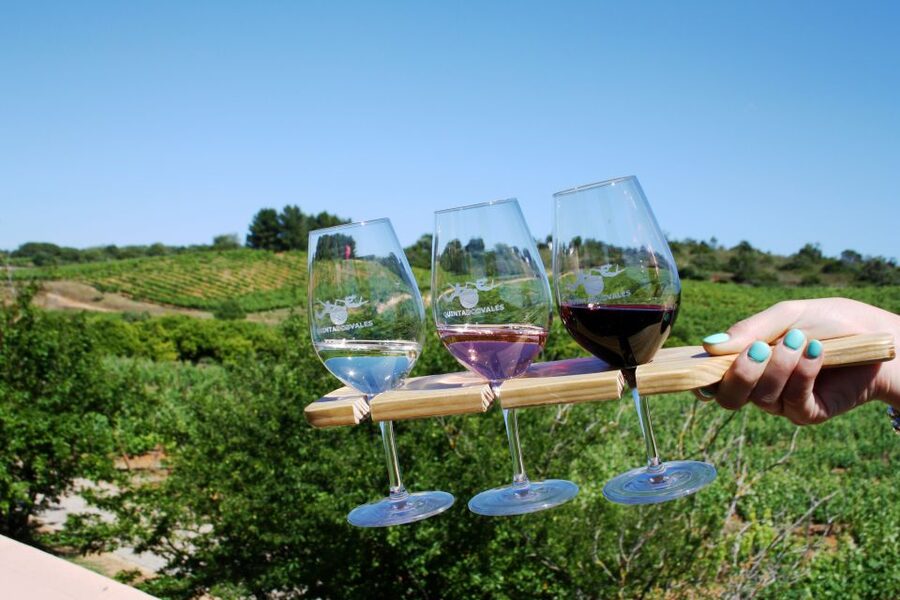 Algarve: 3 Types of Wine Tastings with Vineyard Views - How to Plan Your Day Around the Tasting