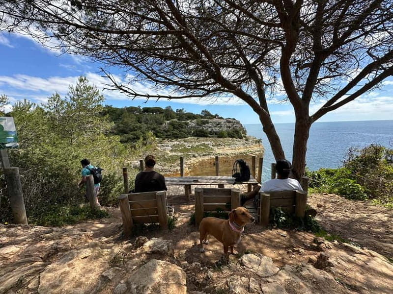 Algarve: 7 Seven Hanging Valley Hike Tour- Photos & Transfer - Key things that make this hike work
