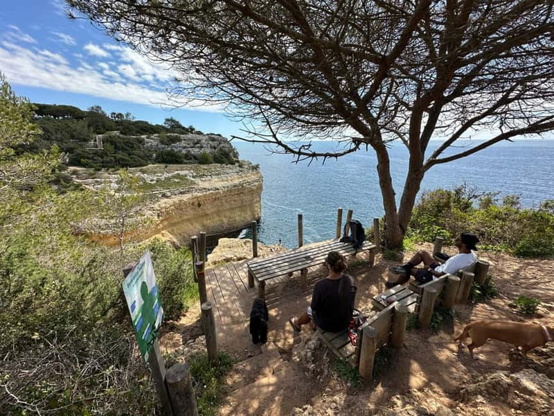 Algarve: 7 Seven Hanging Valley Hike Tour- Photos & Transfer - Stop-by-stop: what you’ll actually see along the route
