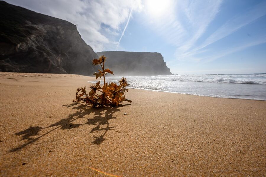 Algarve: Amazing Private Surf Lesson 2 hours - Getting from Praia da Rocha to the right waves
