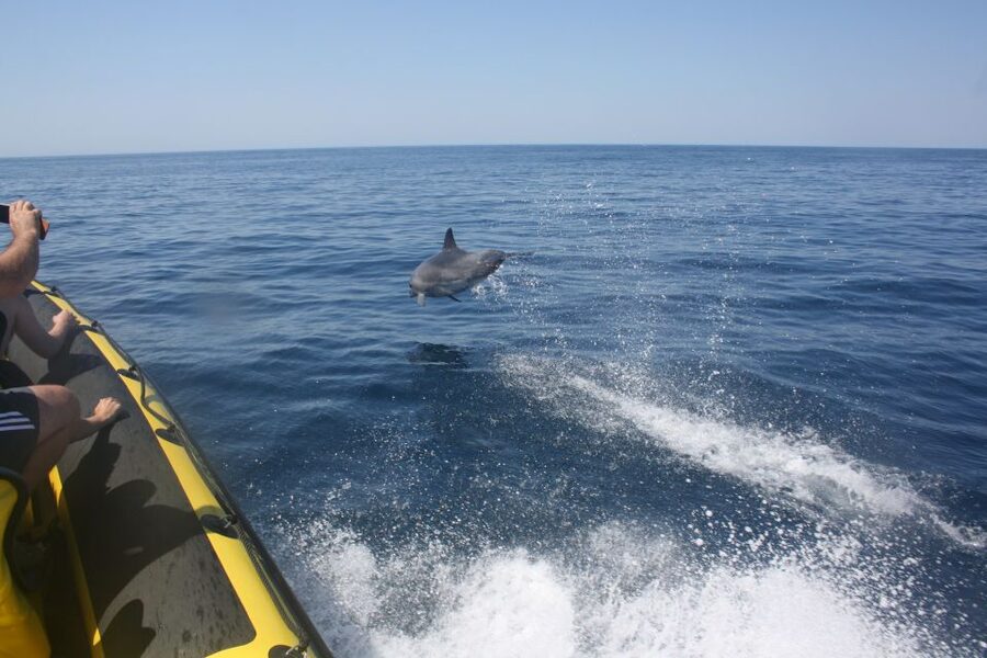 Algarve: Benagil Caves Private Tour - Key things I’d watch for on this private caves cruise