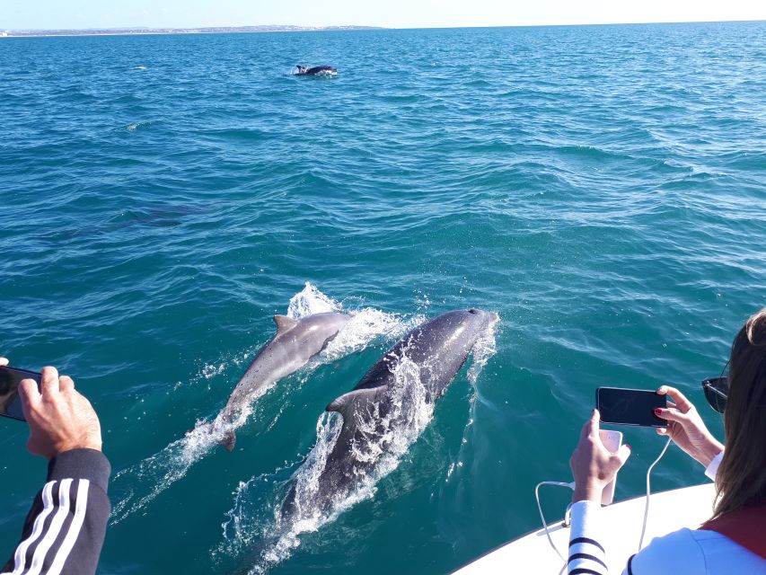 Algarve: Boat Trip to the Caves of Benagil - The 2-hour route: Arade River departure to Portimão return