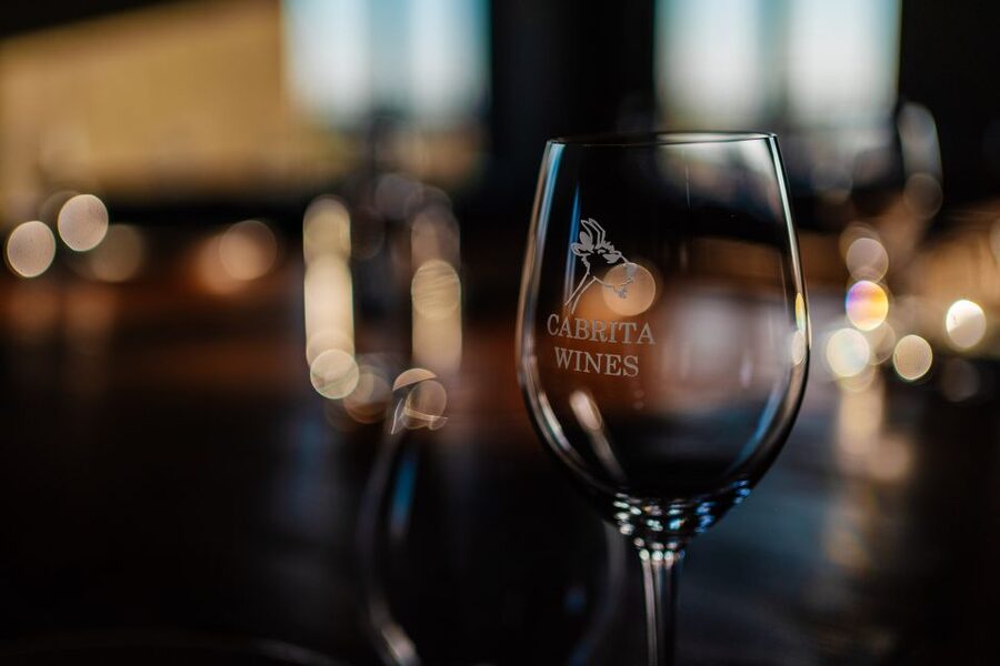 Algarve: Classic Wine Tour & Tasting in Silves - Vineyards, Cellar, and the Barrel Cellar: The Full Process Walk-Through