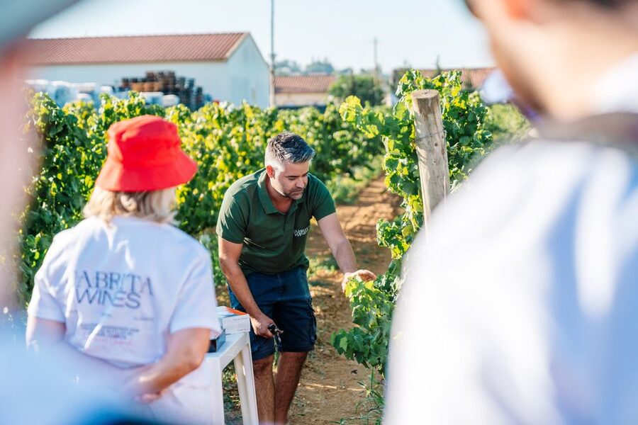 Algarve: Classic Wine Tour & Tasting in Silves - Logistics: How to Get There Without Pickup