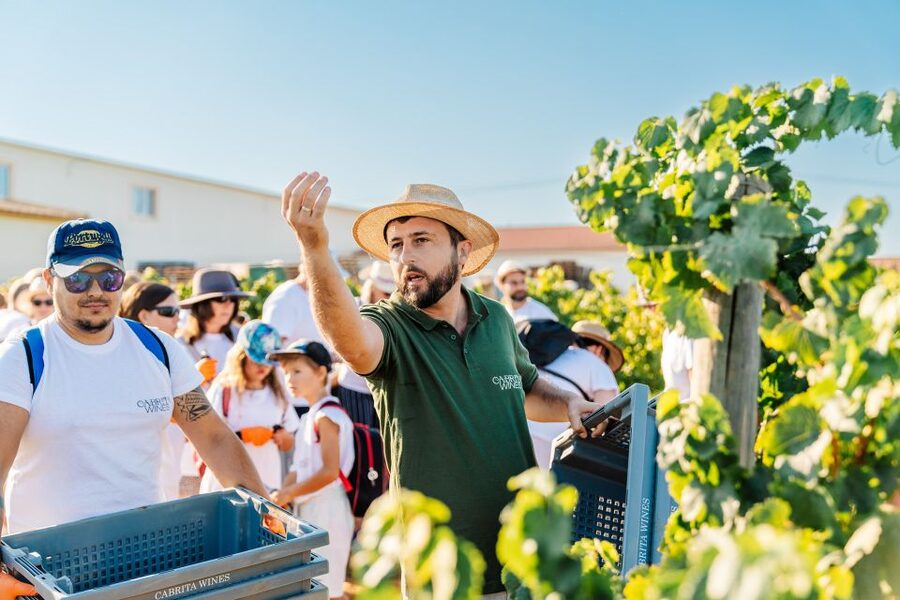 Algarve: Classic Wine Tour & Tasting in Silves - What to Wear and Bring (So the Tour Feels Easy)