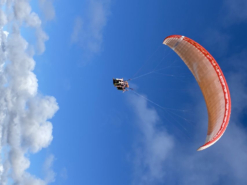 Algarve Coast: Paragliding Experience - Key highlights you’ll actually feel