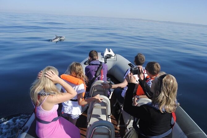 Algarve Dolphin Watching & Marine Life Eco Tour - Santa Maria Cape and the barrier-island waters