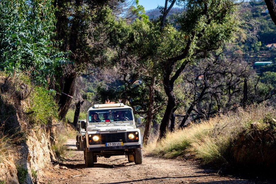 Algarve: Full-Day Boat and Jeep Tour - Lunch in a typical restaurant: your mid-day reset