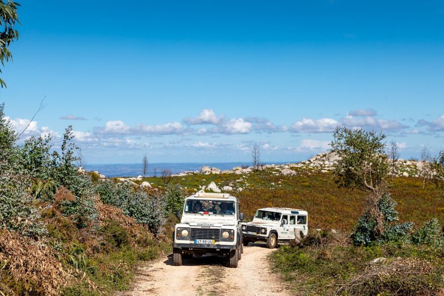 Algarve: Full-Day Guided Sightseeing Tour with Lunch - Silves: narrow streets, cathedral exterior, and castle vibes
