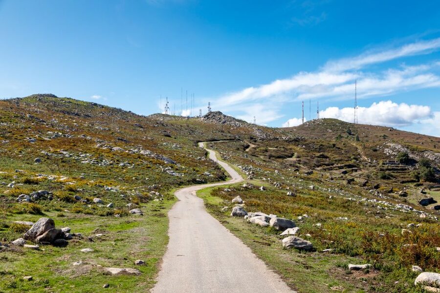 Algarve: Full-Day Guided Sightseeing Tour with Lunch - Price and value: what $116 gets you in a day this full
