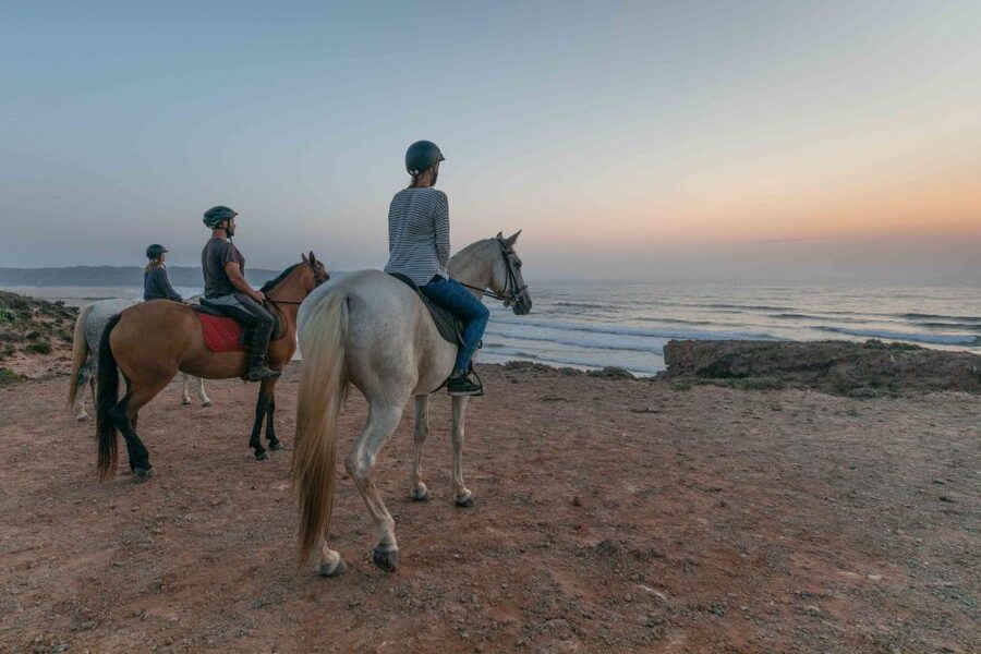 Algarve: Horse Riding Beach Tour at Sunset or Morning - Why Carrapateira Beach Riding Feels Different at Sunrise or Sunset
