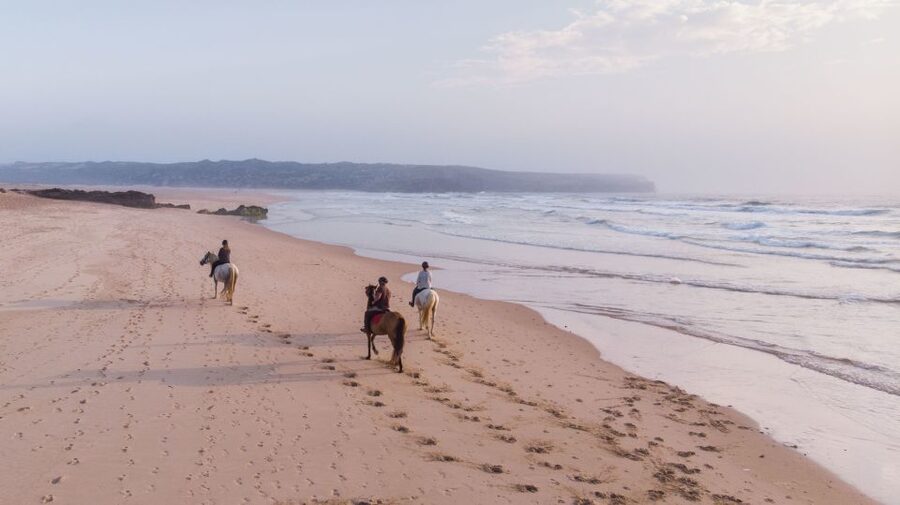 Algarve: Horse Riding Beach Tour at Sunset or Morning - The 2-Hour Route: Pine Forest Paths, Wild Fruits, and Sea Views