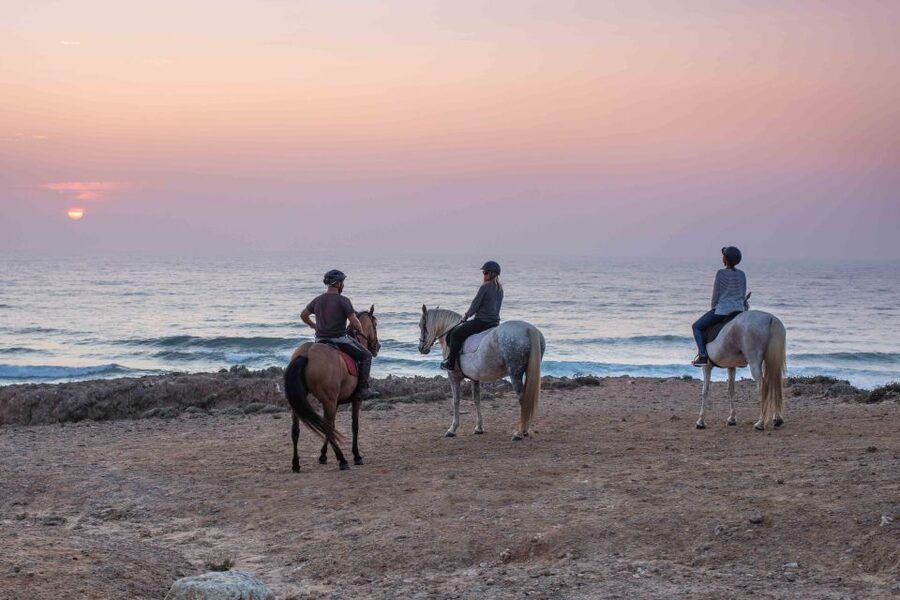 Algarve: Horse Riding Beach Tour at Sunset or Morning - The Horses: Matched to You, Well Cared For