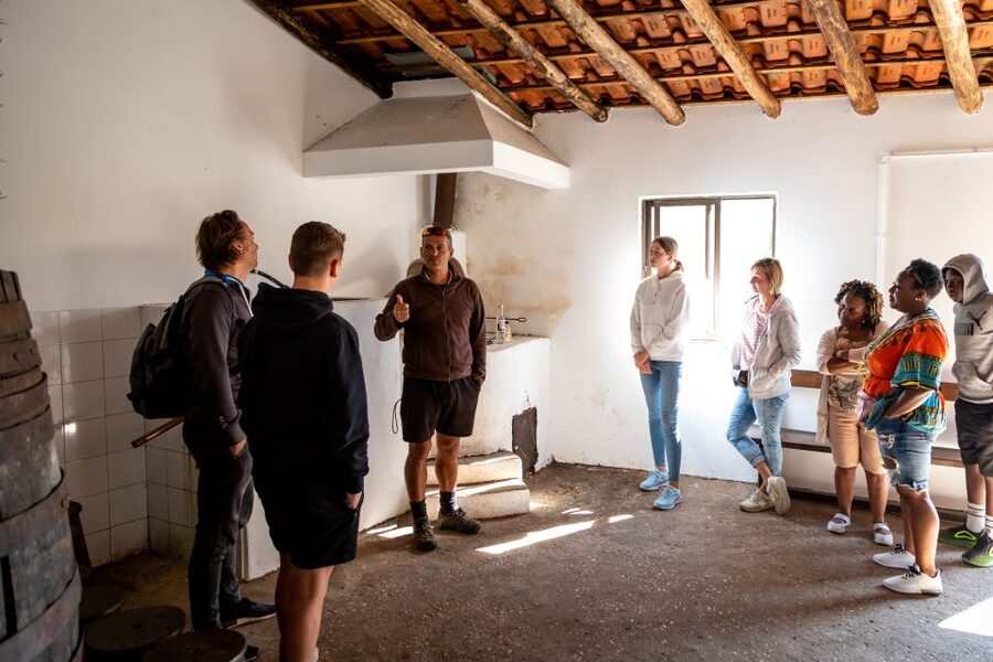 Algarve: Jeep Safari with Distillery Visit & Lunch - Should You Book This Algarve Jeep Safari and Distillery Day?