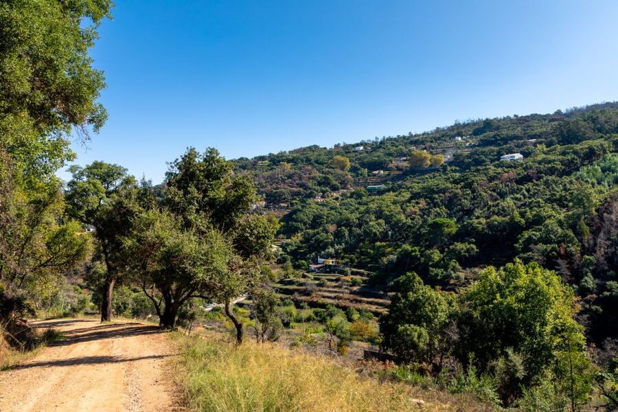 Algarve: Jeep Safari with Distillery Visit & Lunch - Lunch in a Local Restaurant: What You’ll Really Want After the Ride