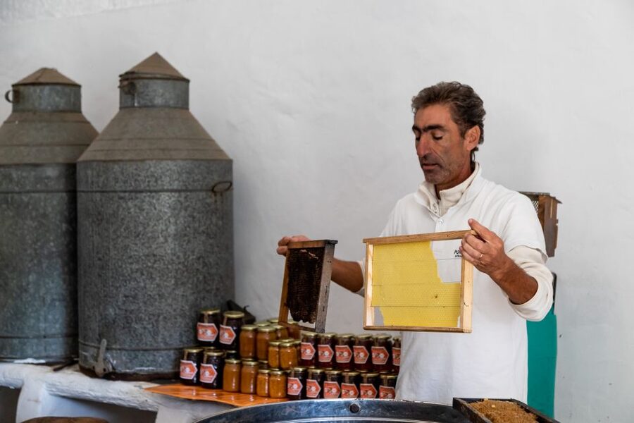 Algarve: Jeep Safari with Distillery Visit & Lunch - Who This Tour Fits Best (And Who Should Skip It)