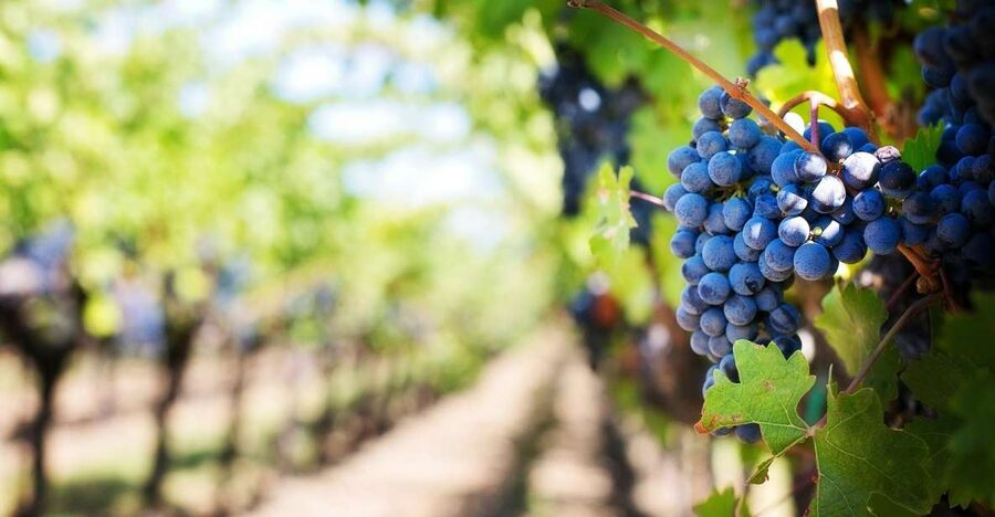Algarve: Landscapes, Pottery, and Winery Tour - Benagil and the Coastal Route: A Fisher Village Feeling Without the Full Beach Detour