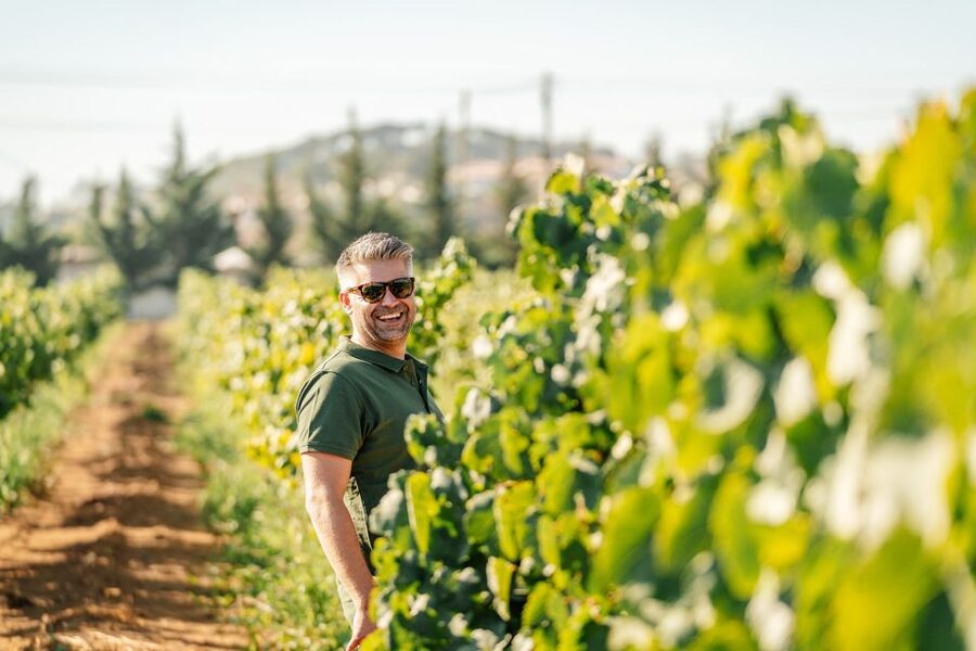 Algarve: Vineyard Tour & Premium Wine Tasting in Silves - From the Shop Entrance to the Vine Rows: How the 1.5-Hour Flow Works