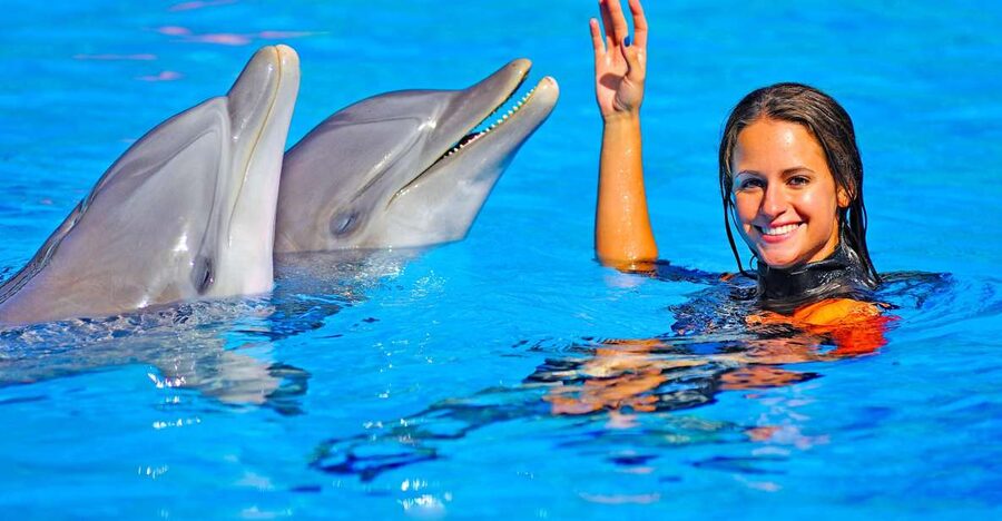 Algarve: Zoomarine Amusement Park Entry Ticket - Why Zoomarine Algarve is such a good family day