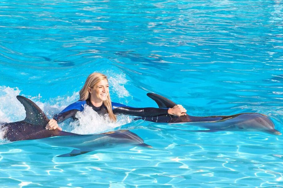Algarve Zoomarine Ticket and Dolphin Emotions Experience - Key highlights to know before you go