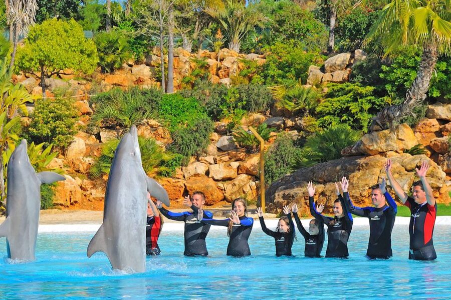 Algarve Zoomarine Ticket and Dolphin Emotions Experience - Who should book (and who should think twice)