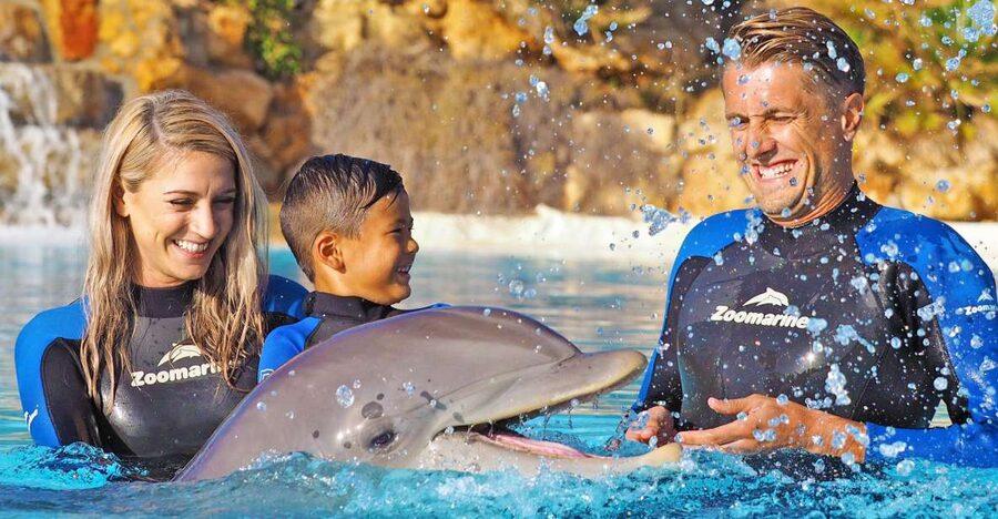 Algarve Zoomarine Ticket and Dolphin Emotions Experience - The educational talk: how it makes the dolphin time feel easier