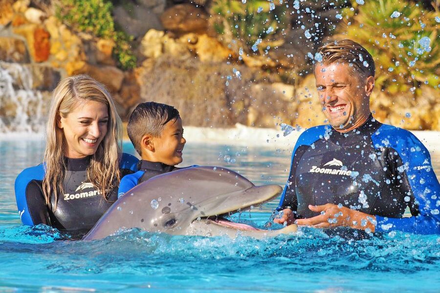 Algarve Zoomarine Ticket and Dolphin Emotions Experience - In-water time: what you can realistically expect