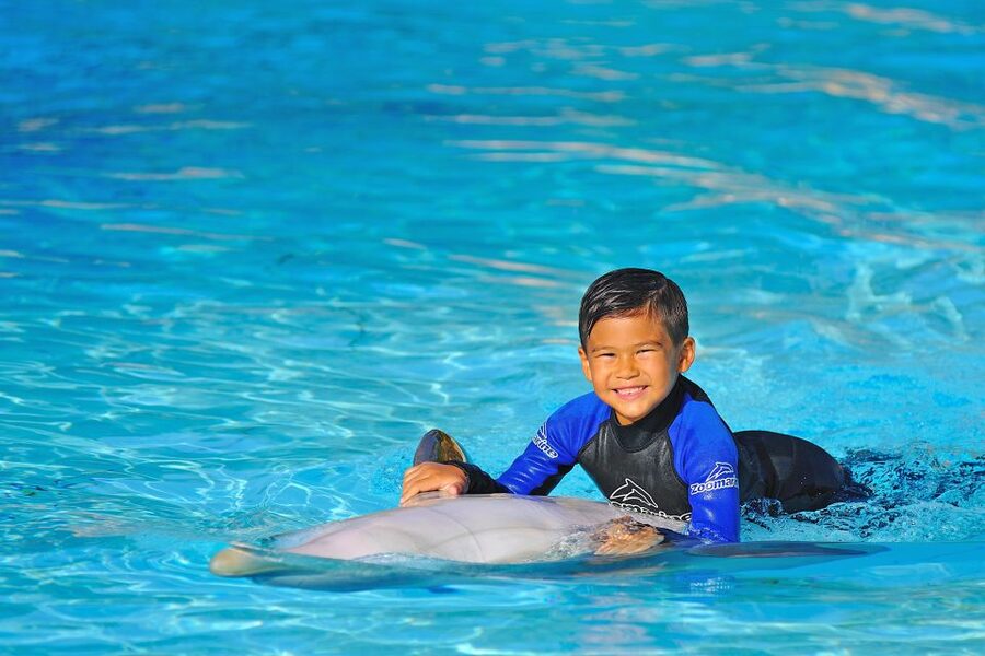 Algarve Zoomarine Ticket and Dolphin Emotions Experience - Trainers, dolphin welfare, and the tone you’ll notice