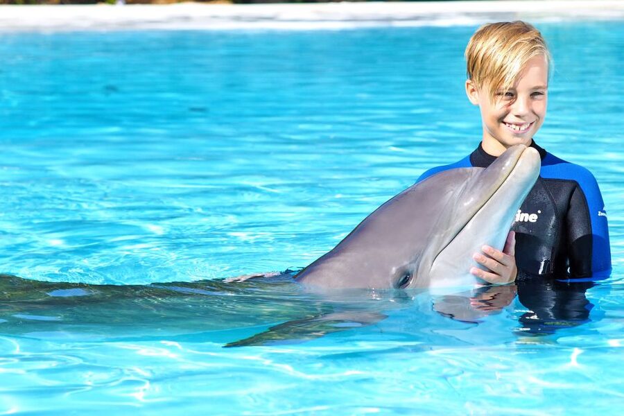Algarve Zoomarine Ticket and Dolphin Emotions Experience - Price and value: is $142 per person fair?