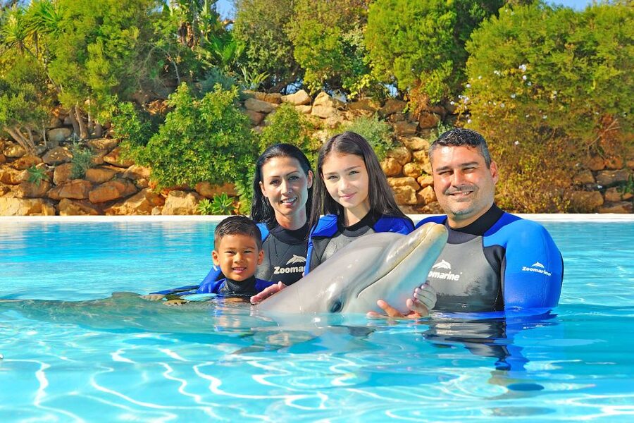 Algarve Zoomarine Ticket and Dolphin Emotions Experience - Dolphin Emotions: Encounter vs Exclusive (and what changes for you)