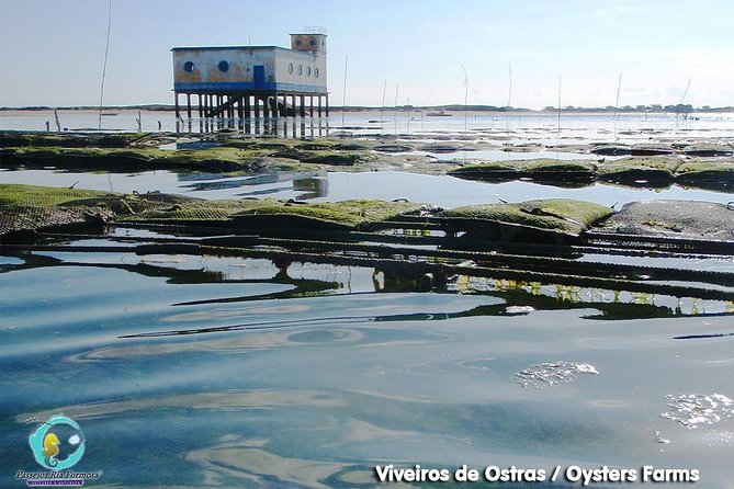 All Day Route in Fuseta - Why Ria Formosa from Fuseta is worth a full day