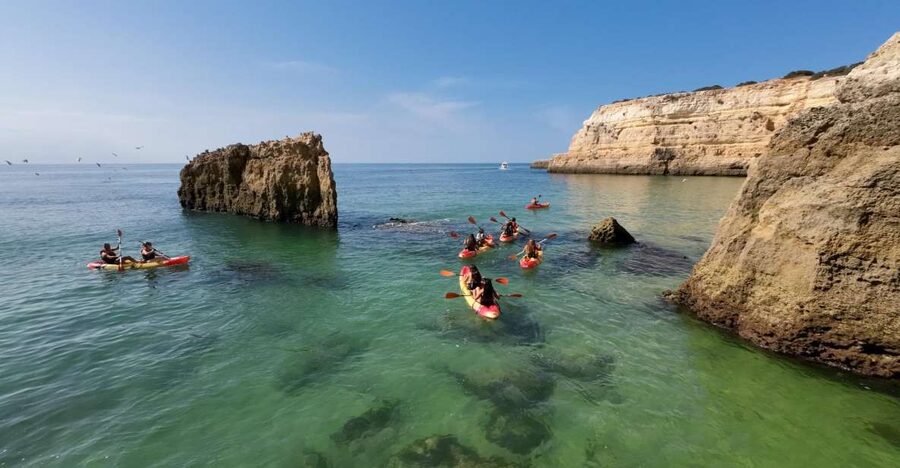 Armação de Pêra: 2-Hour Wild Beaches and Caves Kayak Tour - Why kayak caves from Armação de Pêra beat the usual coastal stops