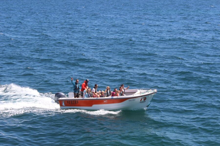 Armação de Pêra: Guided Boat Tour of Benagil's 15 Best Caves - What the crew does for you: guides, captains, and real-world help at the boat
