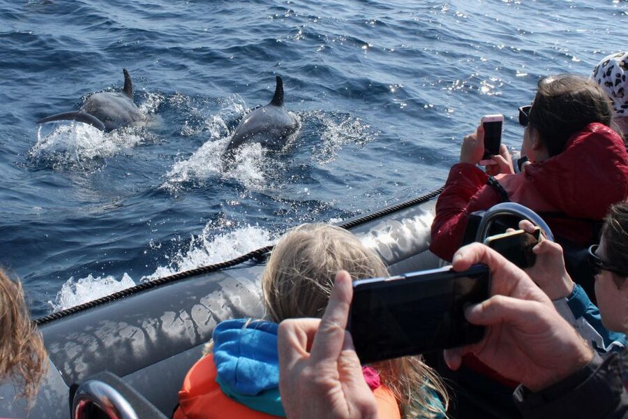 Benagil Tour - Salema Photo Stop + Guided Time: Don’t Rush the Start