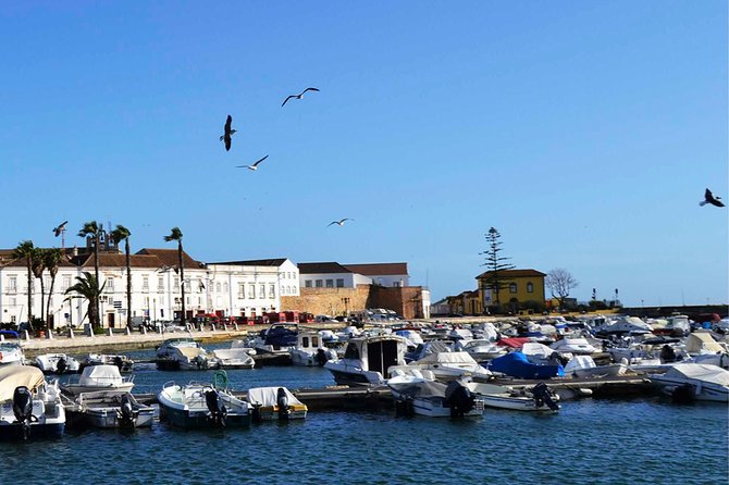 Best of the East: Faro, Olhão, and Tavira - Guides: When the Day Feels Smooth vs. When It Doesn’t