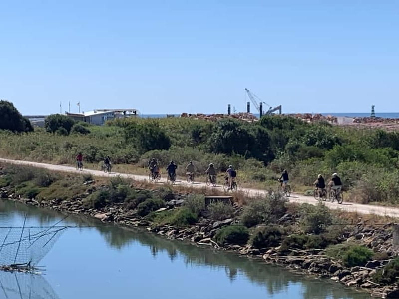 Best of Vilamoura - Guided Bike Tour (3h) - The dunes-to-stalls connection and Portugal’s natural details